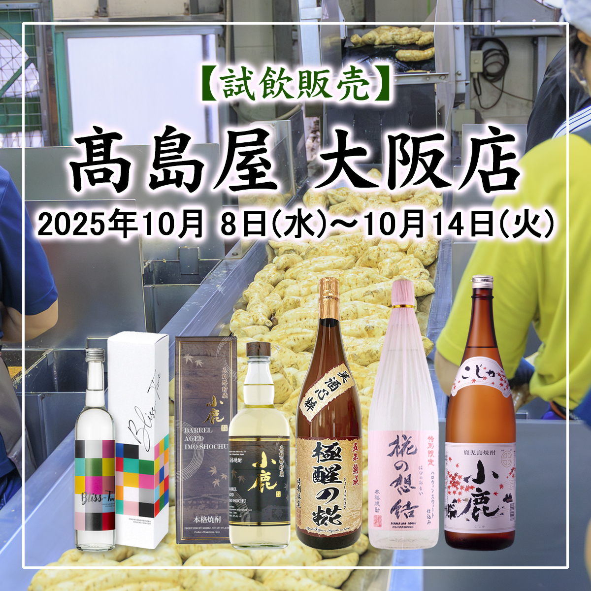 の画像